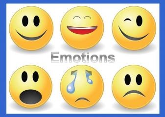 Emotion_20220102-095335_1