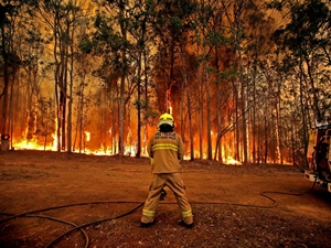 firefighter nsw bushfire am